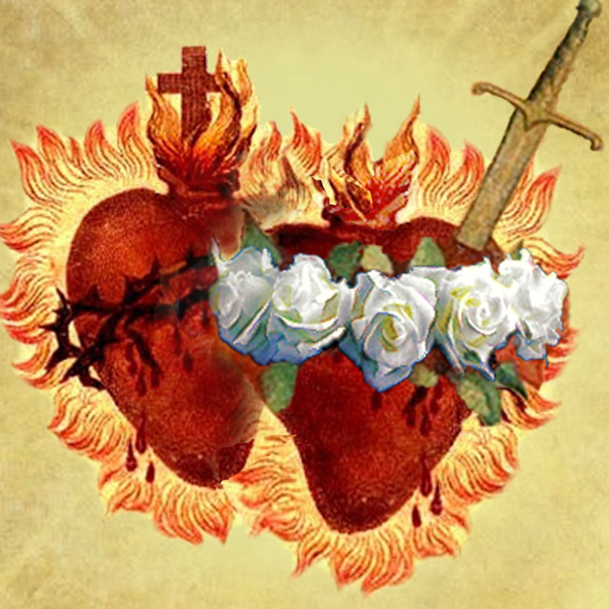 Friday Scripture Reflection Information